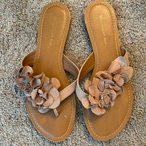 Chocolate Blu sandal